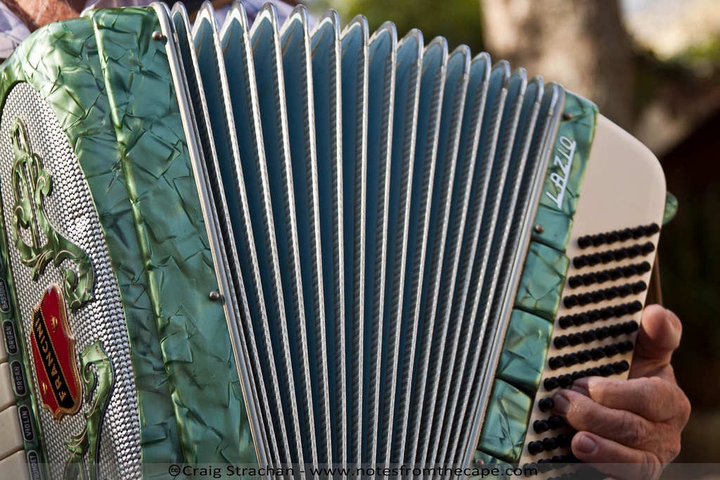 photo of an accordion - accordion