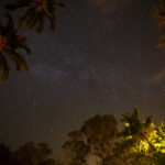 - hawaiian evening star 1 150x150