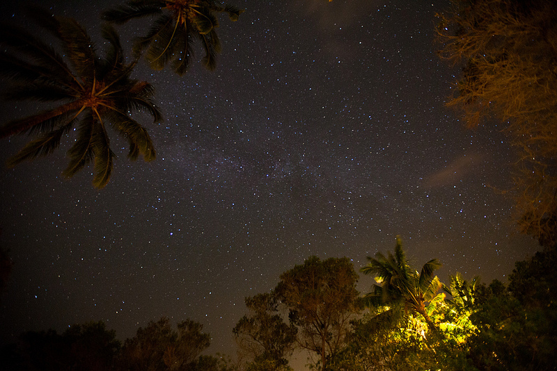 photo of evening stars