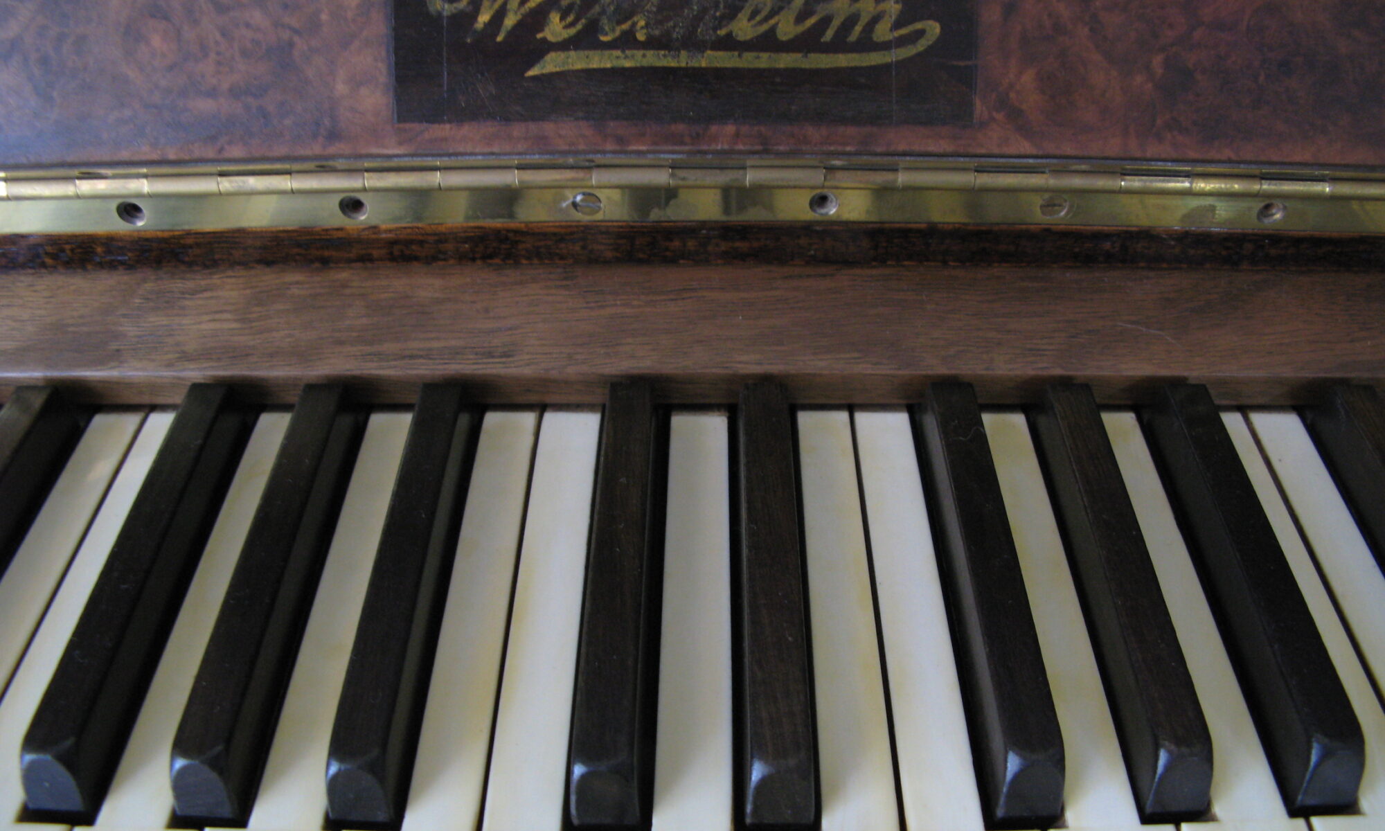 photo of wertheim piano keys
