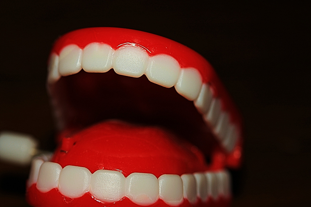 photo of plastic teeth