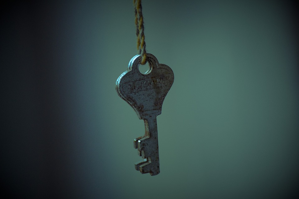 photo of key