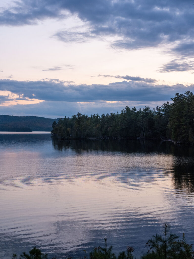 Photos - DSF2300 1 768x1024