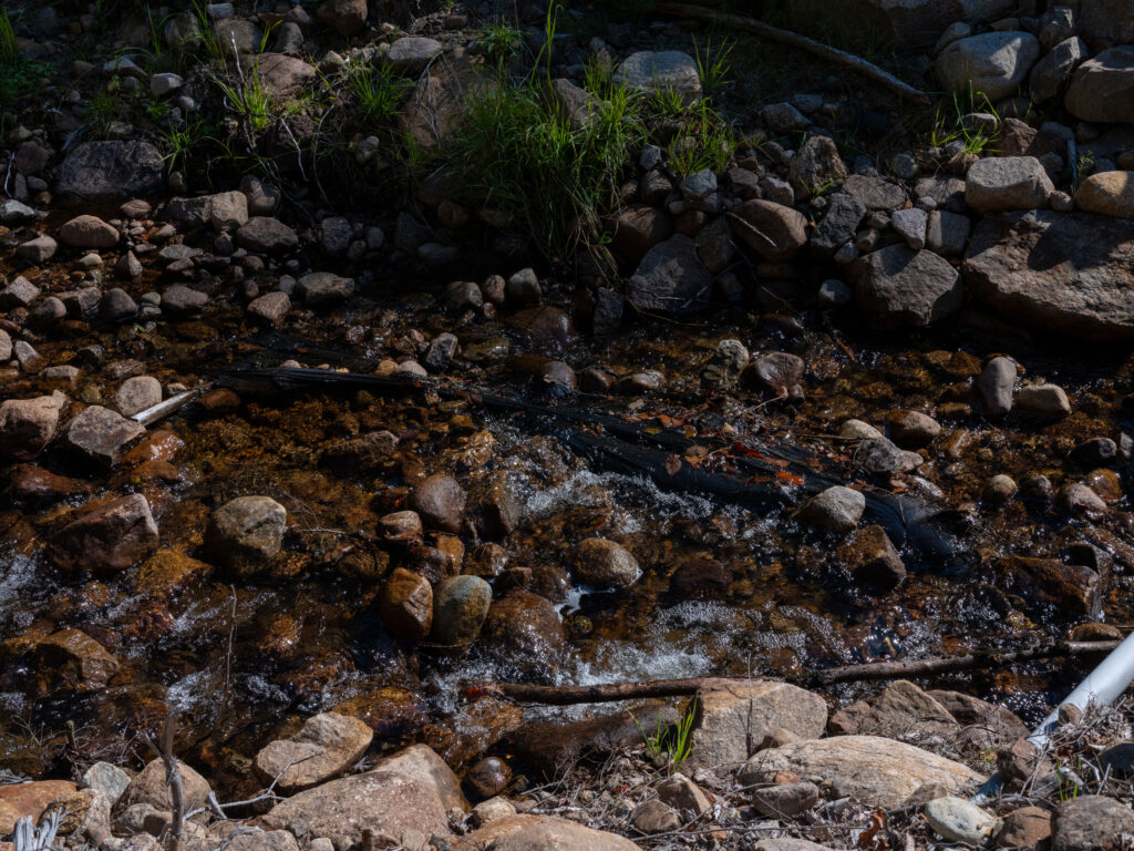 Photos - DSF2365 1 1024x768