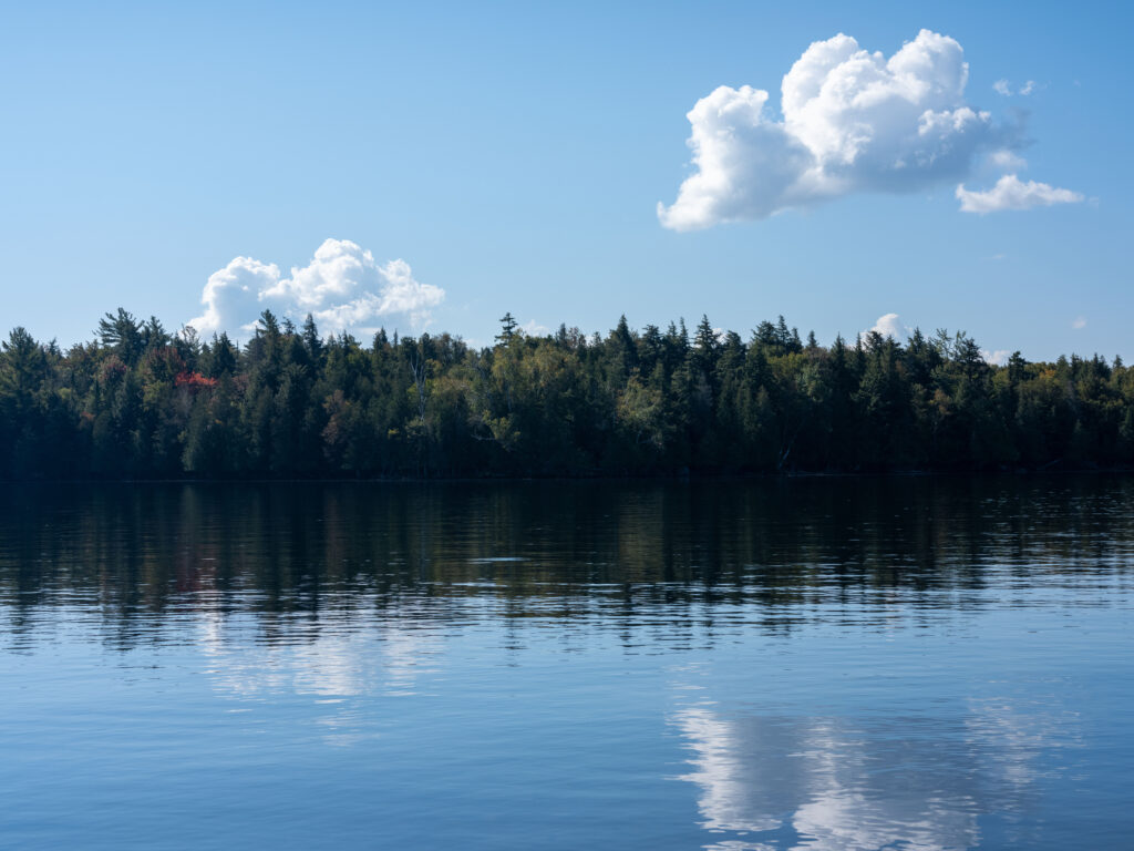 Photos - DSF2370 1 1024x768